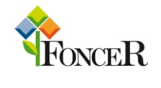 Foncer: il fondo della ceramica